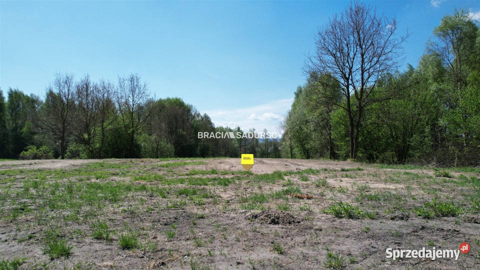 sprzedaży działki 5290m2 Przeginia Narodowa