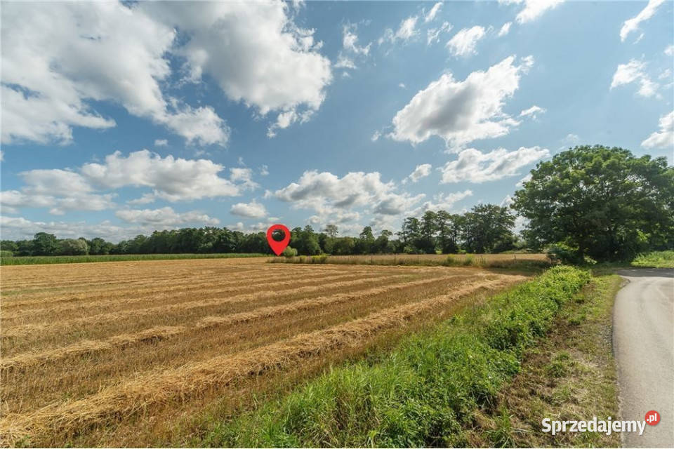 Duży teren z potencjałem inwestora 57527m2 Strumień sprzedam