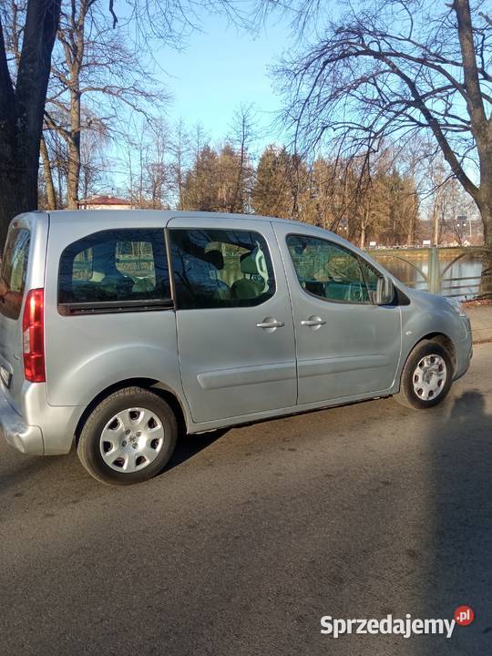 Peugeot Partner TPEE 2012