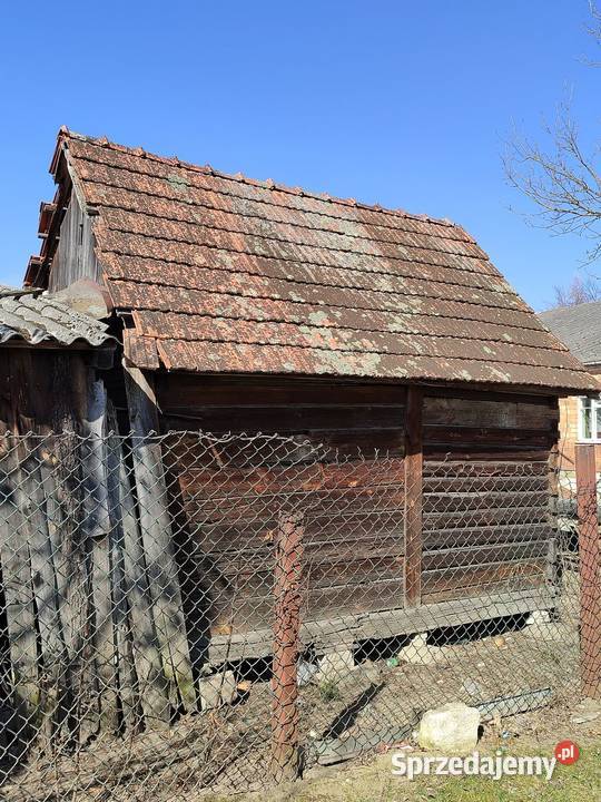 Spichlerz z bala do przeniesienia Antyki, Sztuka, Kolekcje