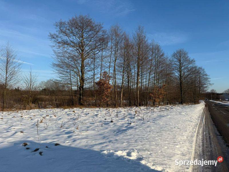 działki rekreacyjne jeziora Przytomne mazowieckie Zuzinów