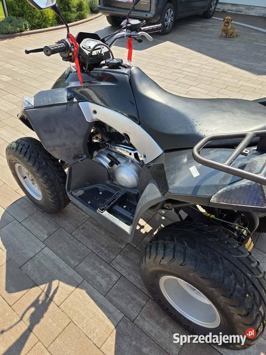 Quad e ton Rok produkcji 2013 Staszkówka