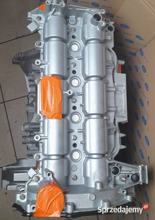 Silnik Ford Transit 4X4 20 ECOBLUE YNR6 YNRA