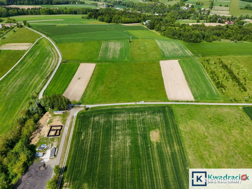 sprzedaży działki 10500m2 Czermna małopolskie