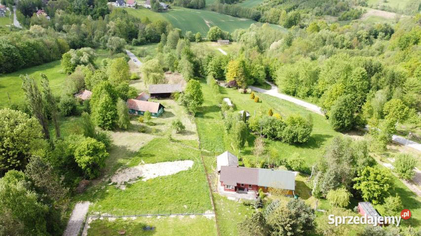 Dom bliźniak Łomna 488m2