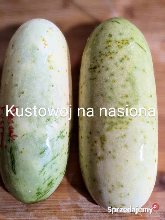 Ogórek Wężowy chiński do50 nasiona kolekcja Kraków