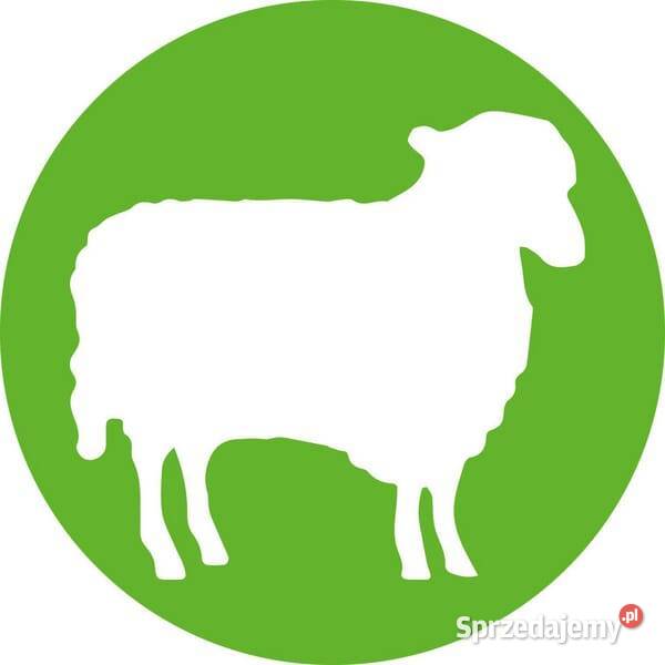 Strzykawka ECOMATIC 2 ml Luer Lock z mocowaniem małopolskie Kamionna