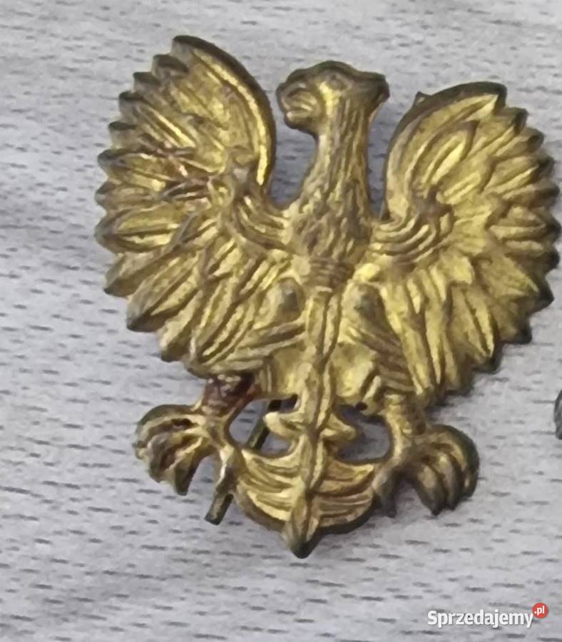 Orzeł Orzełek Orzełki Czapkowe Marynarka Wojenna