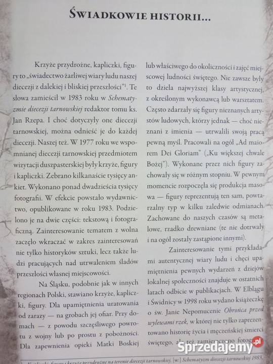 KAPLICZKI I KRZYŻE PRZYDROŻNE BYTOMIA DERUS M sprzedam