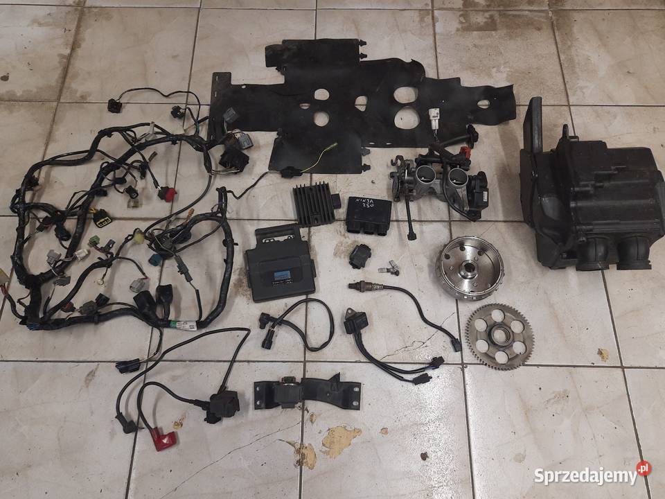 Kawasaki Ninja 250 R części EX25J 0812r Moduł dolnośląskie