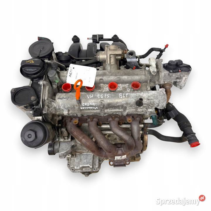 SILNIK BLF VW Touran Golf V Eos Jetta III 16 FSI Chełm