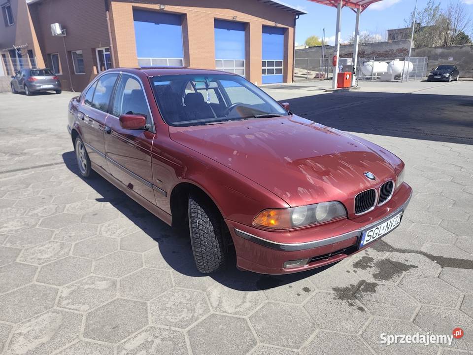 BMW e39 Grobniki