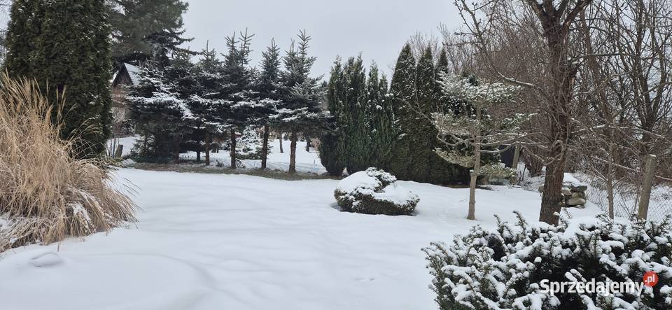 Prawo do dzierżawy działki woda warmińsko-mazurskie