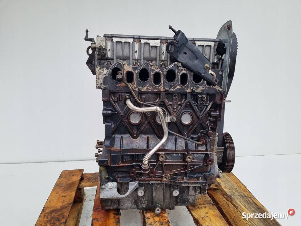 SILNIK Renault Laguna II lift 19 DCI 130 F9Q F9 Silniki kompletne Rudka