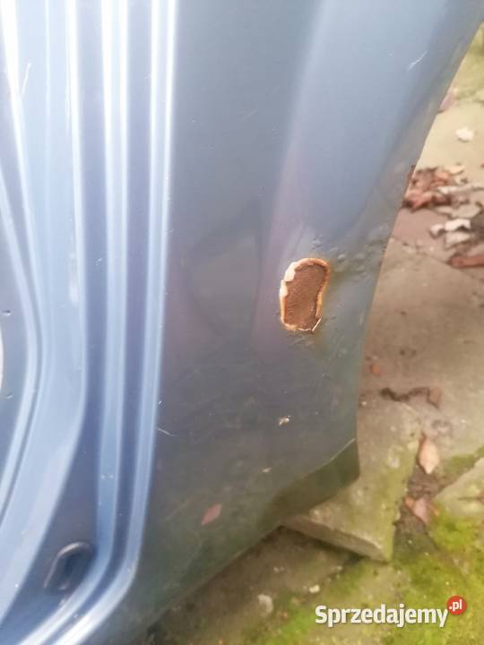 błotnik tył z szybą lewy prawy Renault Scenic Piotrków Trybunalski