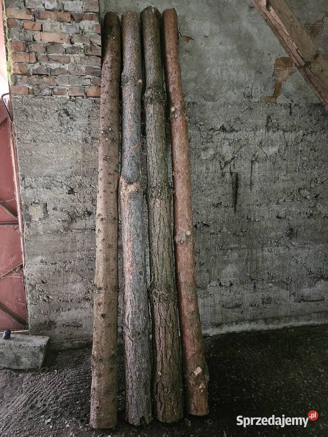 Stemple budowlane Pozostałe Gorzyce