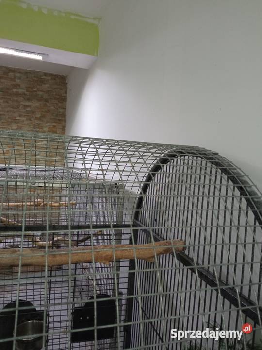 Sprzedam klatkę Woliere ptaków Świdnica