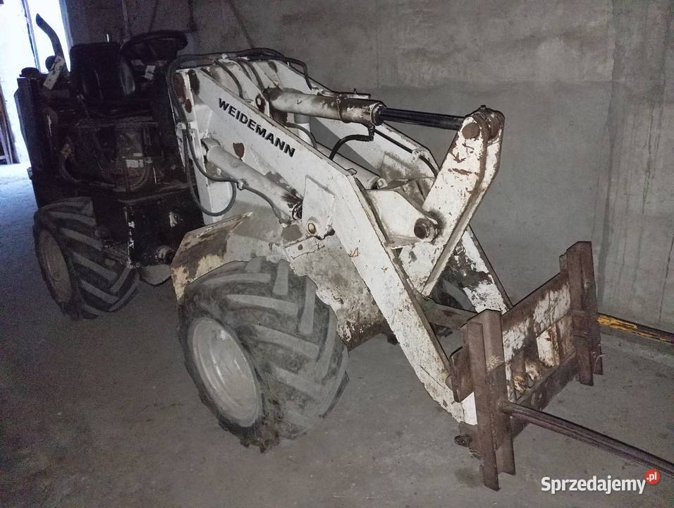 Weidemann 2002 Szczuka