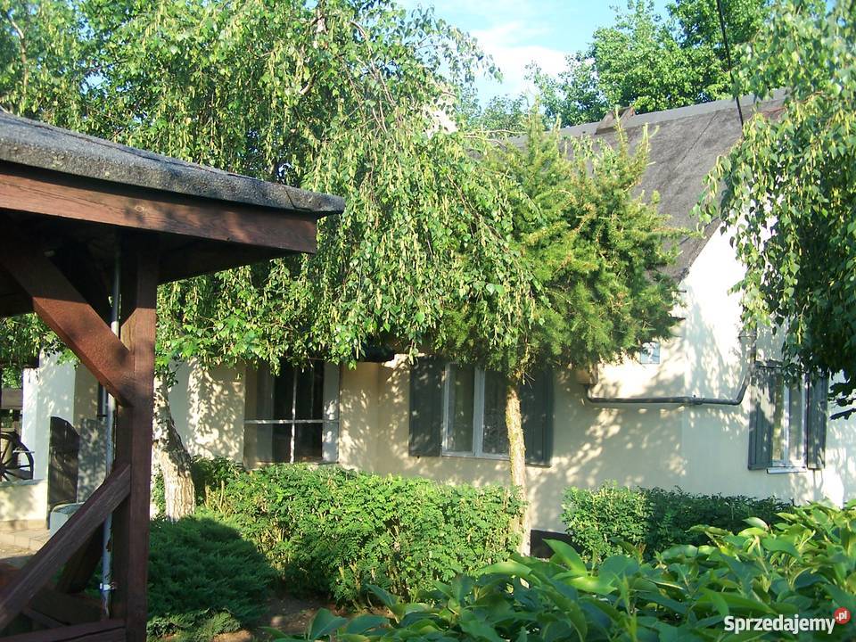 Sprzedam siedlisko Kalisz