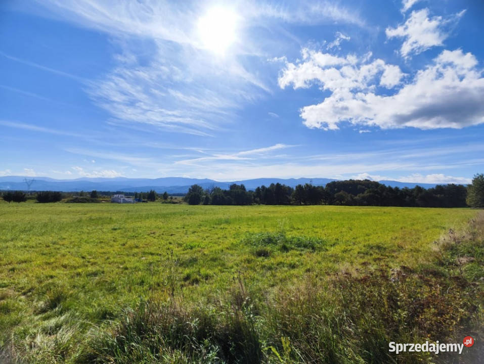 ŚWIETNA DZIAŁKI BUDOWLANEJ  W WOJCIESZYCACH Wojcieszyce