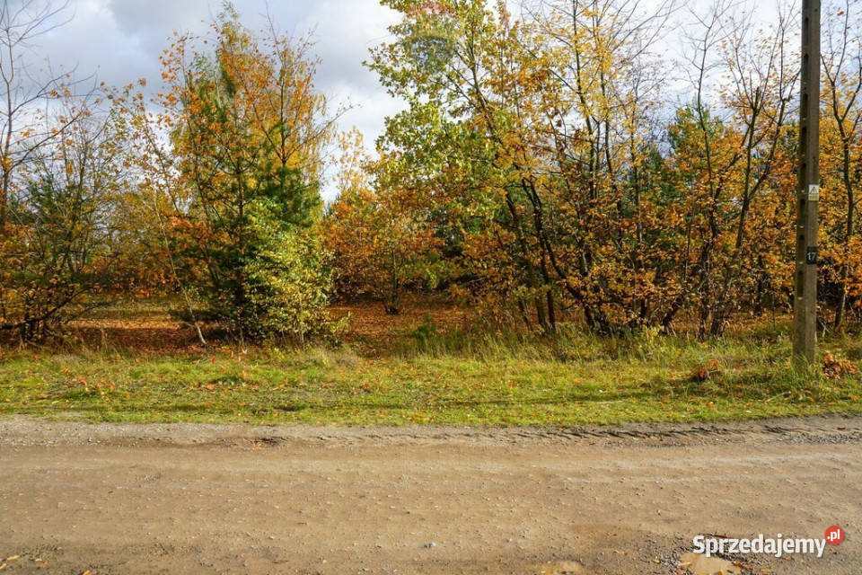 Działka 1209m2 udział 12 Milanówek Sprzedaż