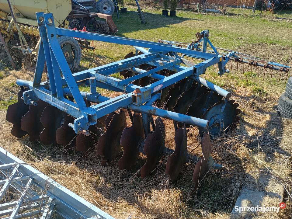 Brona talerzowa Brony podkarpackie Jaszczew