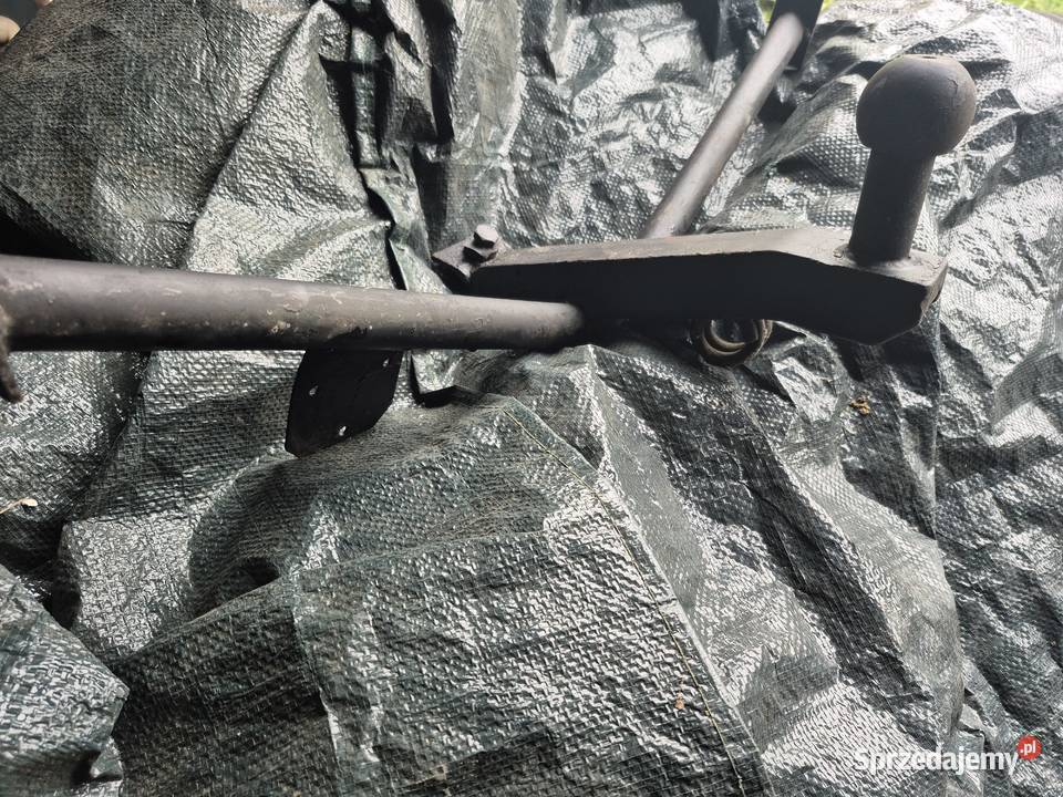 Hak do 126p podkarpackie Rzeszów