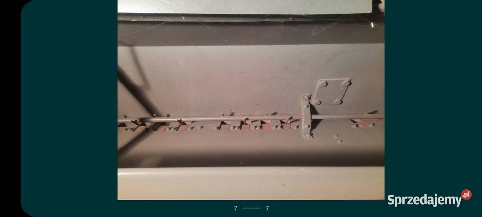 Siewnik Poznaniak Jaksin