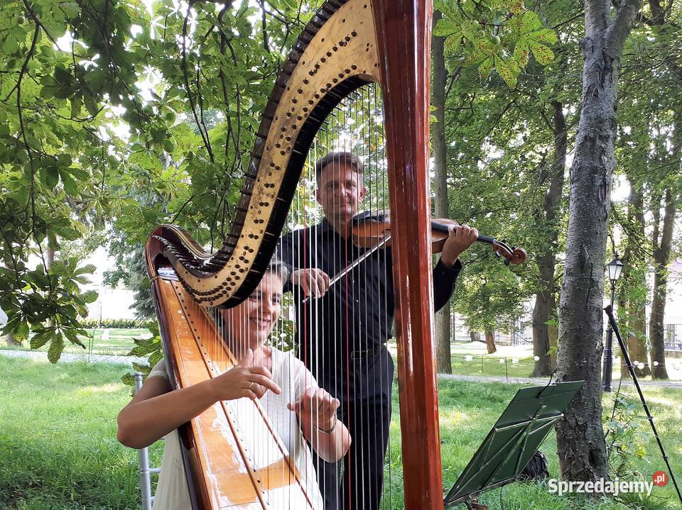 Skrzypceorganista na ślubpogrzeb 601715889Opole Opole
