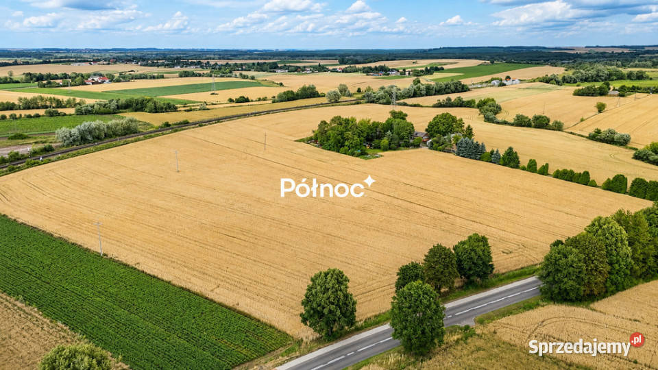 1 ha pola w granicach miasta Hrubieszów 50m