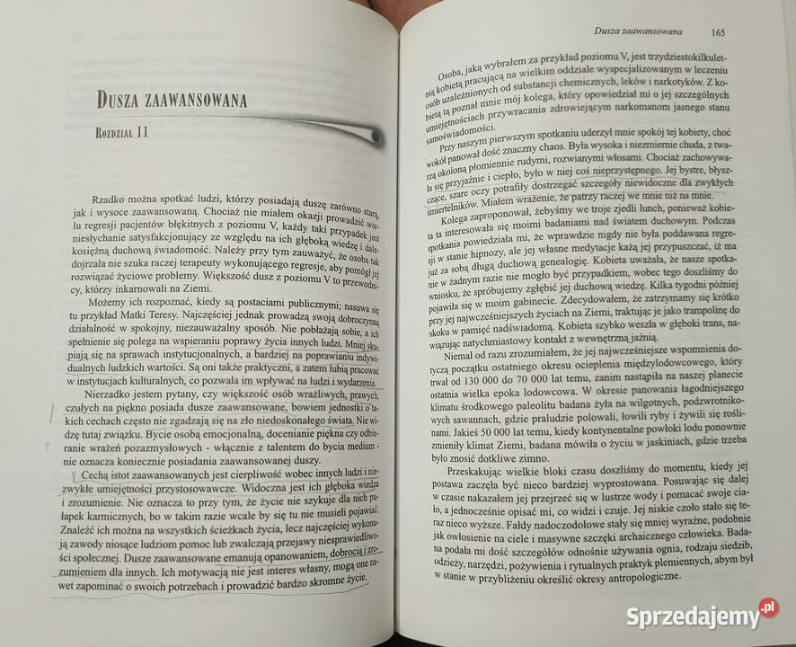 Wędrówka dusz Życie między wcieleniami Michael Poradniki, albumy i reportaże Sosnowiec
