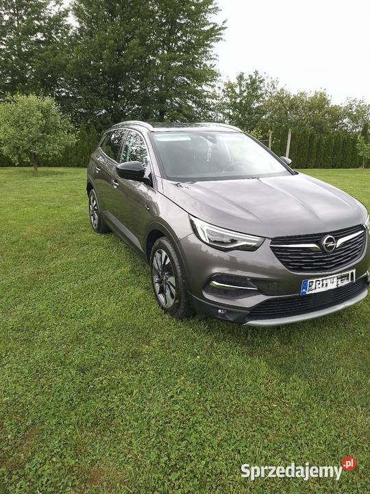 Opel Grandland x szary Pilzno