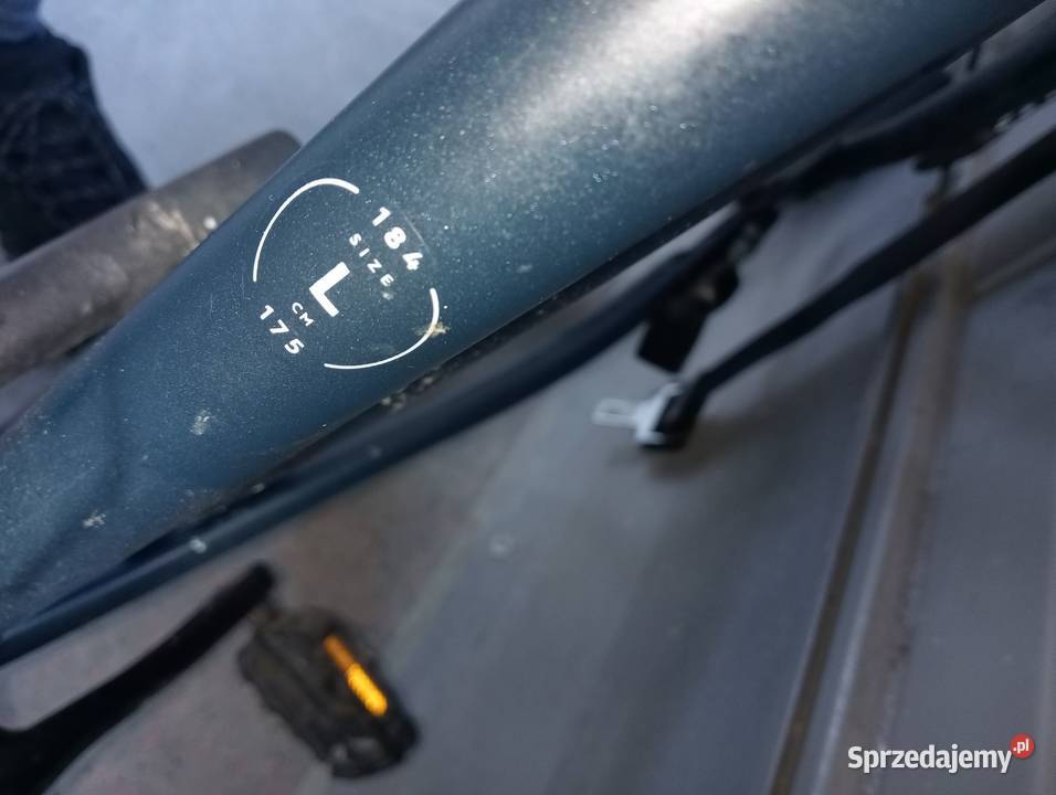 Rower Elops long distance 500 rama L