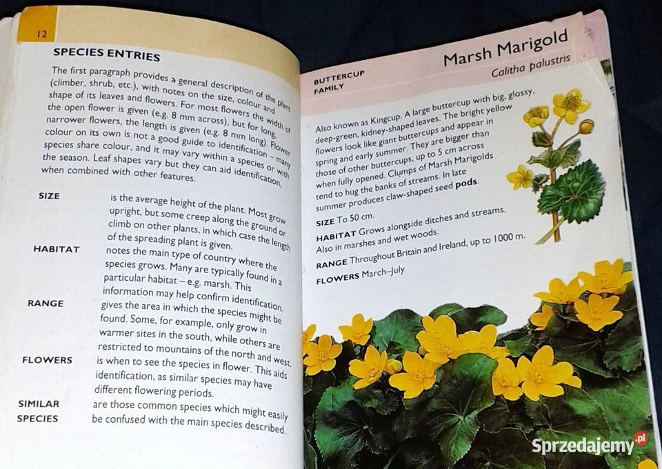 Wild flowers Martin Walters Collins Gem miękka Chełm