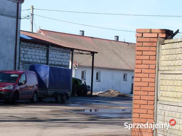 Syndyk sprzeda udział 38 w prawie własności warmińsko-mazurskie Pielgrzymowo sprzedam