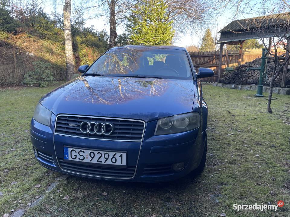 Audi A3 8P 16 MPI LPG manualna Słupsk