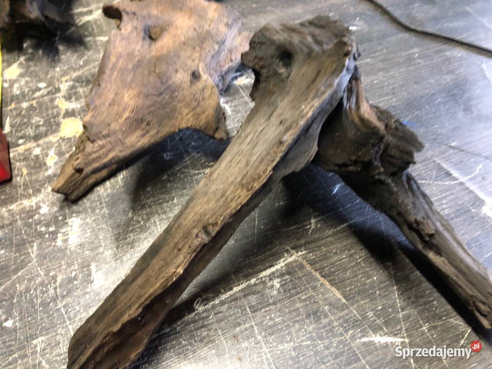 Korzeń korzenie dekoracyjne do akwarium Akwarystyka Akcesoria dla zwierząt łódzkie