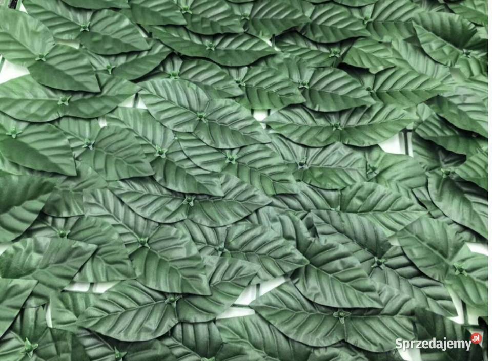 Żywopłot sztuczny bluszcz 3m x 50 Trytytki Sztuczne kwiaty i owoce Warszawa