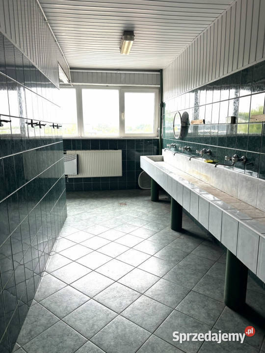 Hala ogrzewana do wynajęcia Katowice suwnica 2 śląskie