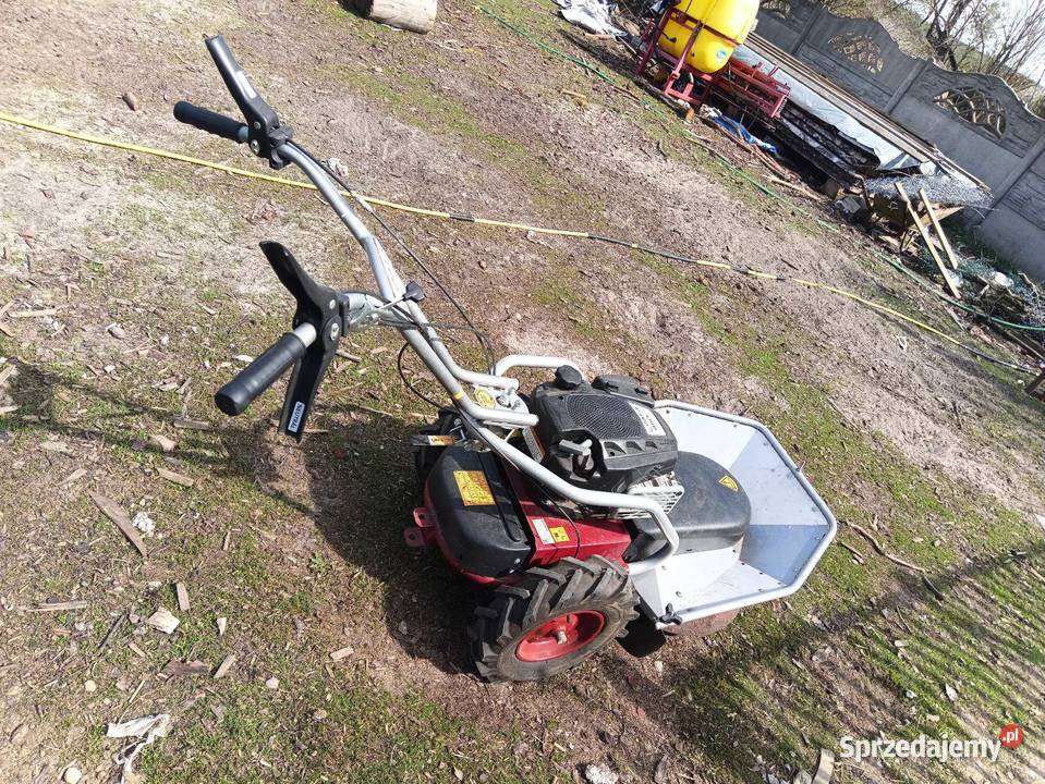 Krajzega łódzkie Mniszków