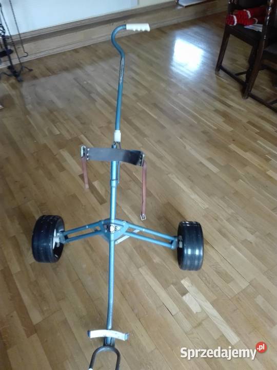 Profesjonalne kije golfowe i inne rzeczyogród Bydgoszcz