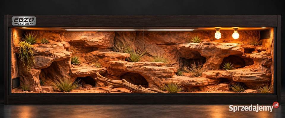 Terrarium agamy brodatej żółwia greckiego wielkopolskie Kościan