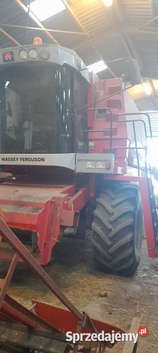 Kombajn Massey Ferguson wielkopolskie Buk