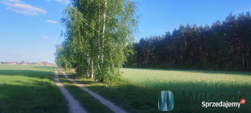 Dom wolnostojący 131m2 Miłoszyce 2 piętra