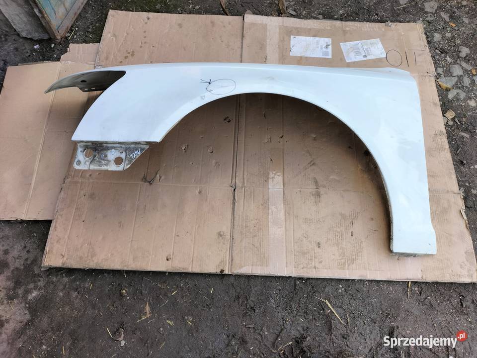 AUDI A6C6 A6 C6 BŁOTNIK LEWY PRZÓD BIAŁY Kamień-Kolonia