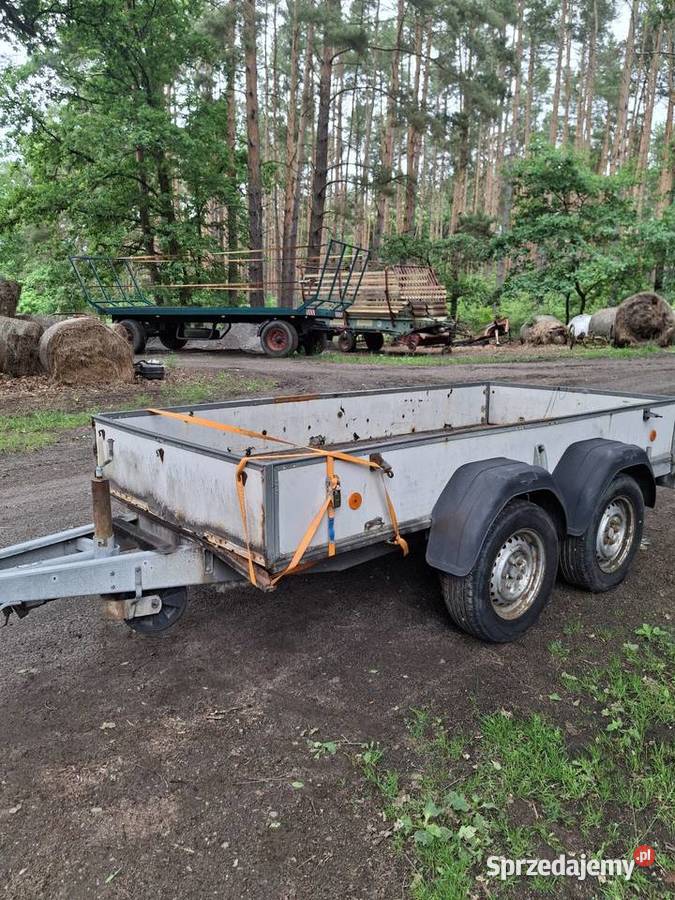 Przyczepa dwuosiowa westfalia 300x140 Krosno Odrzańskie