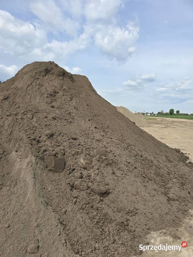 Ziemia czarna brunatna Łódź