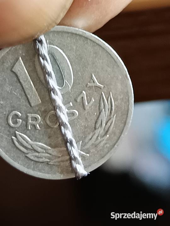 Sprzedam 10 gr 1976r mala skretka lubelskie Chełm