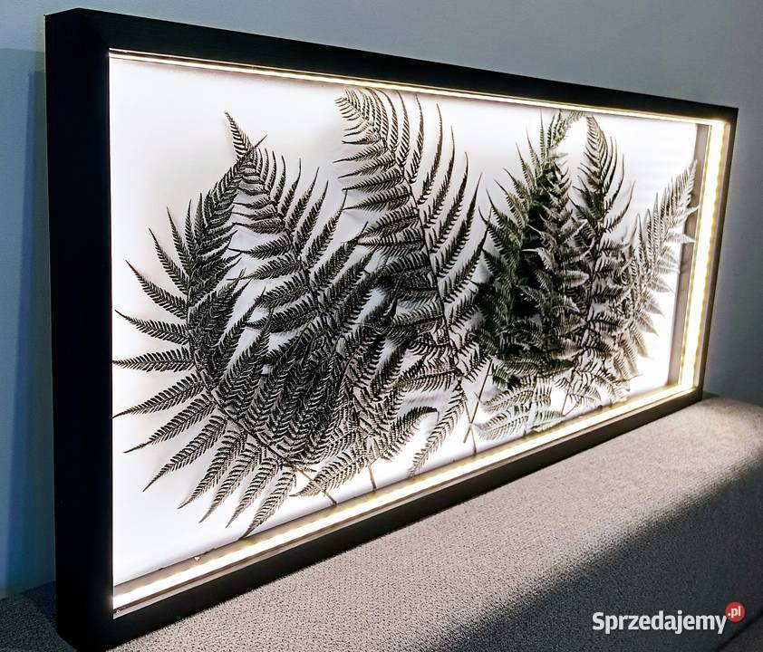 Rama z podświetleniem LED 100x40 z paprociami Kraków