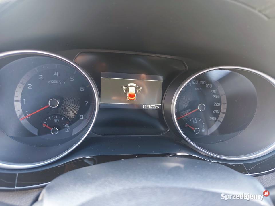 Kia ProCeed serwisowany w ASO biały 2019 r kujawsko-pomorskie Piastoszyn